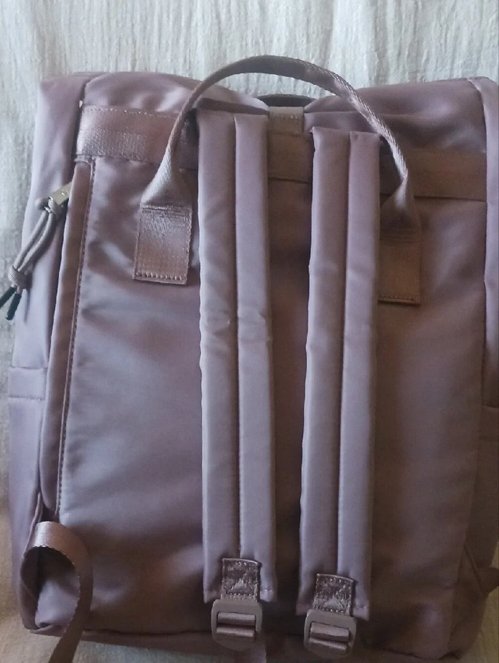 BearPaw sleek backpack